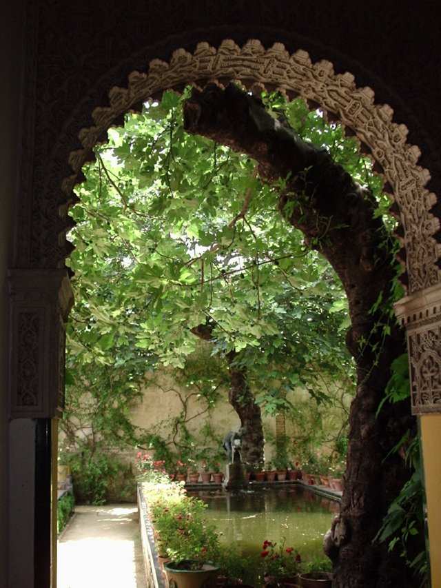 P5210008 jardin chico - Casa Pilatus - Sevilla